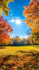 Autumn background