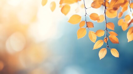 Obraz premium Abstract Autumn Nature Wallpaper: Blurred Leaves, Golden Foliage, Blue Sky Banner Template