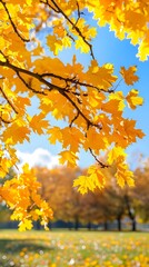 Autumn background