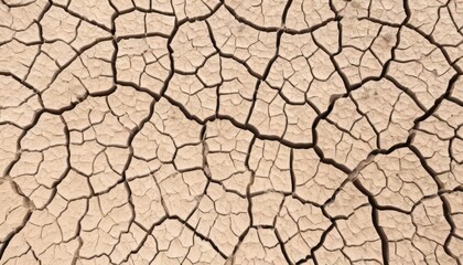  Texture of cracked earth surface