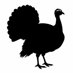 turkey poultry silhouette. vector illustration of white background