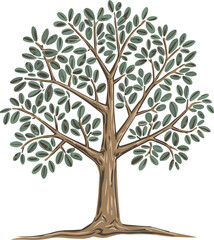 A big tree Illustration vector .