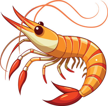 orange cartoon shrimp isolated white clip art preview