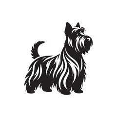 Scottish Terrier vector, silhouette, illustration on white background 