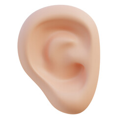 Human Organs - Ear