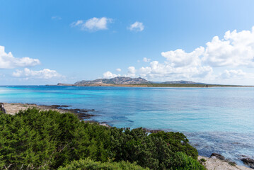 Obraz premium Crystal-clear waters lap gently against the shoreline of La Pelosa, reflecting the vibrant greens of the nearby coastal landscape.