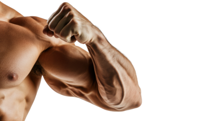 Muscular Arm Flexed Showing Strength