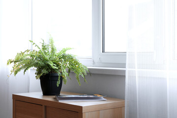 Table with houseplant and magazine near window in room