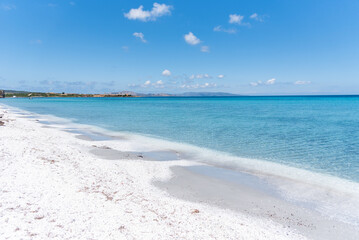 Fototapeta premium Le Saline beach landscape: turquoise sea meets a distant horizon with faint landforms, under a vast blue sky. A breathtaking view capturing the serene beauty of Sardinia's coastline.