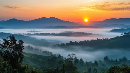 Obraz premium Scenic countryside with mist and sunrise, Monday morning, calm and refreshing.