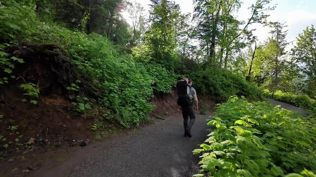 Father and son in hiking carrier walk winding forest path, sunshine peaking through the trees. Themes of exploration, solitude in nature, or healthy living. Chilliwack, British Columbia, Canada.