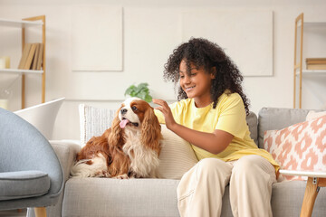 Teen African-American girl with cute cavalier King Charles spaniel sitting on sofa at home