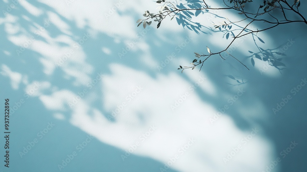 Poster minimalistic light blue background with shadows from tree branches for product displays