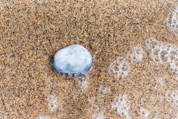 Beach treasure, stone on the beach sand. Close up view.