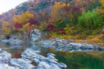 日本の風景・秋　埼玉県長瀞町　紅葉の秩父長瀞
