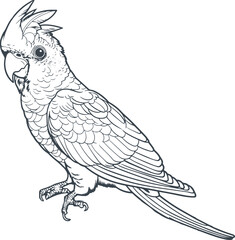 Obraz premium Cockatoo bird line art illustration