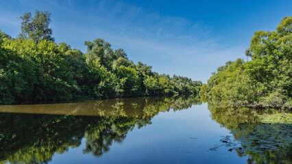 A calm river. Impenetrable thickets of deciduous forest grow on the banks. The leaves of water lilies on the surface. Blue sky, light clouds. A mirror image in the water. Russia. Moscow