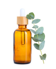 Bottle of eucalyptus essential oil on white background, closeup