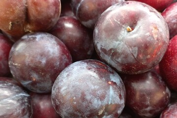 Red plums fruits ripe full frame | Natural stock photos for background, slide show, etc.