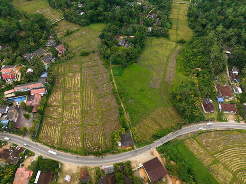 Aerial view of  raice fields, forest and a road in Mathugama, Sri Lanka