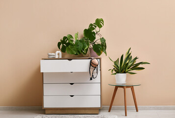 Chest of drawers with bra and plants near beige wall in room