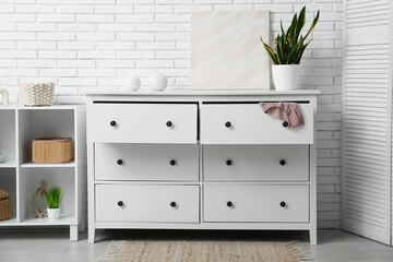 Chest of drawers with panties, plant and painting in room