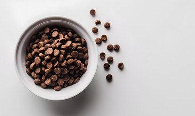Dry dog food in a bowl on a white background. 