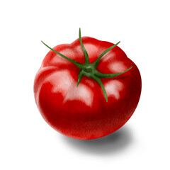 tomato isolated  png , on white background 