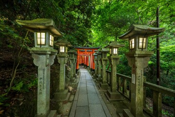 Fototapeta premium Tori Gates at Fushimi Inari Taisha in Kyoto, Japan,