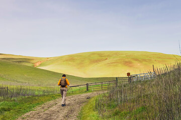Hiker walking along a dirt path in a lush green landscape