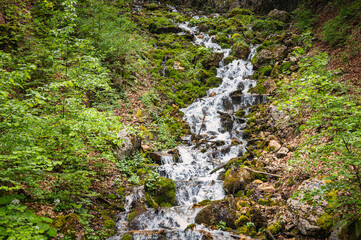 Torrent du Jura, cours d'eau de montagne  impétueux