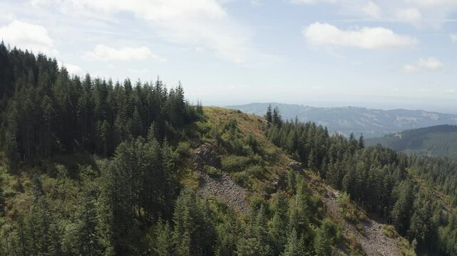 Evergreen trees above rockslide slope in grassy hills establishes Silver Star Mountain Washington Cascades