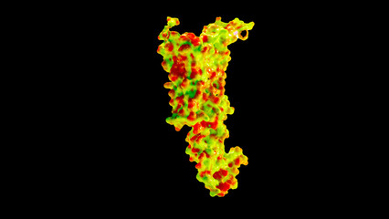 Glucagon-like peptide 1 (GLP1, 7-36) molecule The glucagon like peptide-1 receptor has a strong effect on the management of type 2 diabetes mellitus. 3d rendering