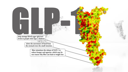 Glucagon-like peptide 1 (GLP1, 7-36) molecule The glucagon like peptide-1 receptor has a strong effect on the management of type 2 diabetes mellitus. 3d rendering