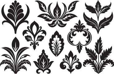 Set Ornaments leaves. Hand drawn vector illustration	
