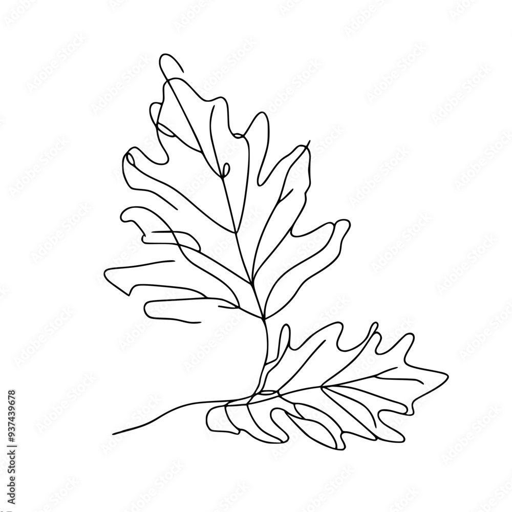 Poster simple linear vector drawing of a lying branch with two oak leaves with a pronounced vein structure