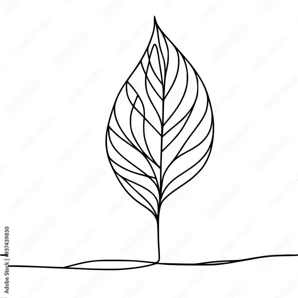 Poster simple linear vector drawing of a leaf from a tree on a white background black lines