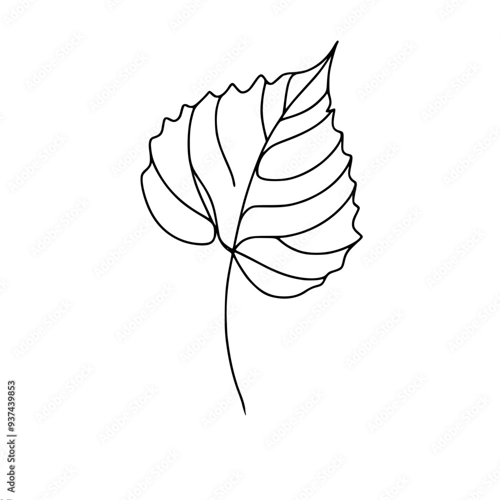 Poster simple linear vector drawing, basic sketch of birch leaf