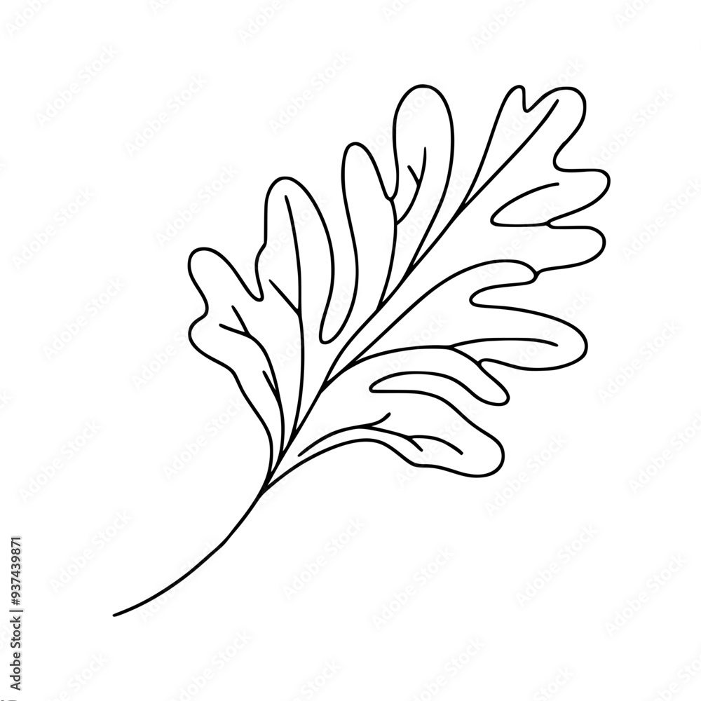 Aufkleber simple linear vector drawing of an oak leaf with lobed edges and pronounced vein structure