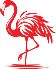 flamingo illustration