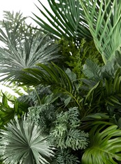 Obraz premium Tropical Plants Leaves Background Green Nature