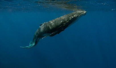 C:\DCIM\101GOPRO\G1865700.GPR