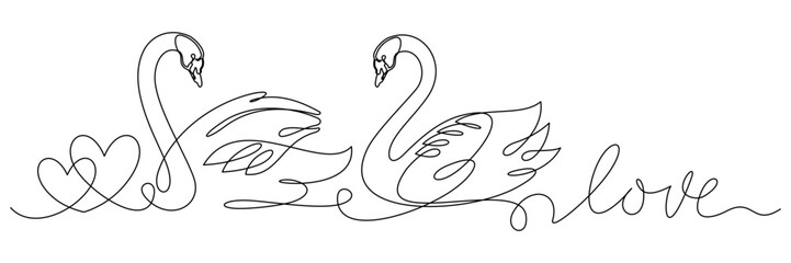 swan and symbol of love 