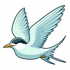 Fototapeta premium vector illustration of a Tern bird against white background