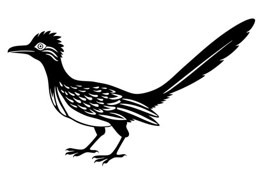 recommend clip art: Road Runner Bird Silhouette Vector Illustration
