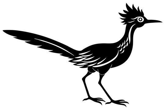 recommend clip art: Road Runner Bird Silhouette Vector Illustration