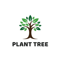 Fototapeta premium Plants tree logo vector