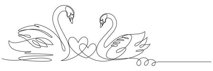 swan and symbol of love 