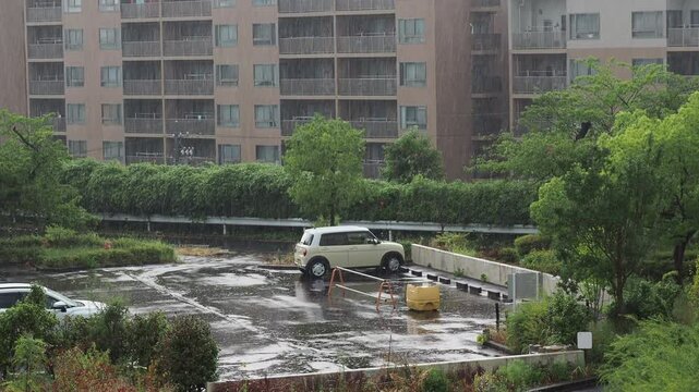 真夏の大雨と住宅地の様子