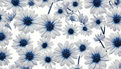 アンティーク調の植物 花 白黒 モノクロ 白い背景画像 Antique style plant flower black and white monochrome white background image